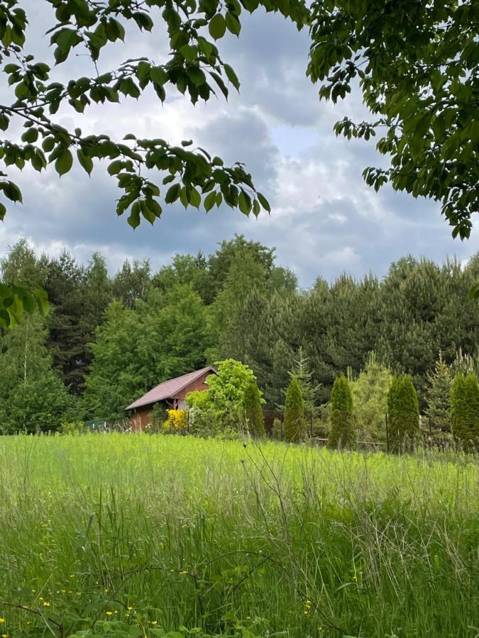 Wittowka - Domek Na Wylacznosc Z Dala Od Sasiadow Томашув-Любельский Экстерьер фото