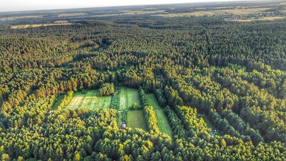 Wittowka - Domek Na Wylacznosc Z Dala Od Sasiadow Томашув-Любельский Экстерьер фото